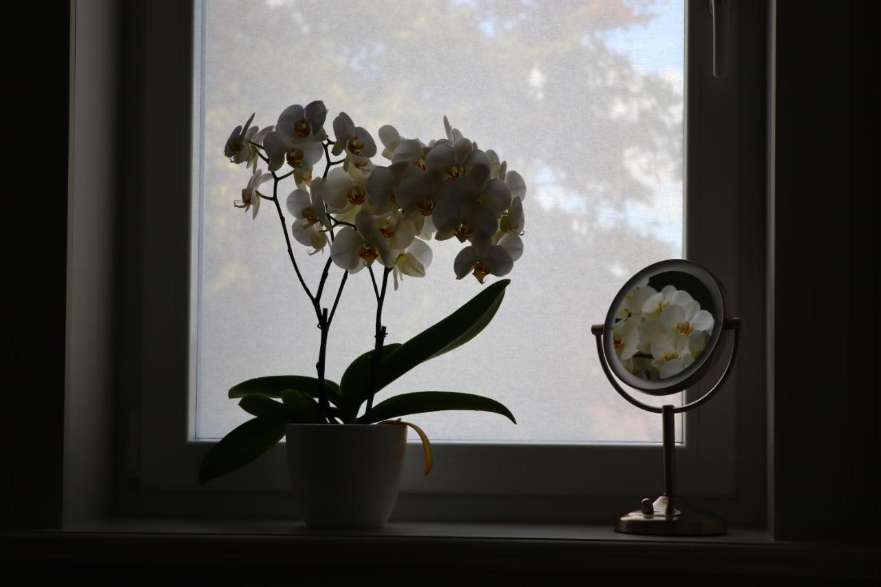 Appartement Revelatio, dé logies à Ypres Extérieur photo